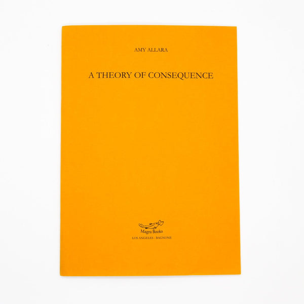 Amy Allara, A Theory of Consequence
